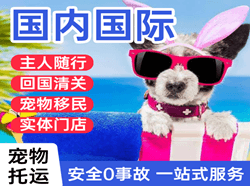 衡阳南岳机场托运国际宠物托运 【国